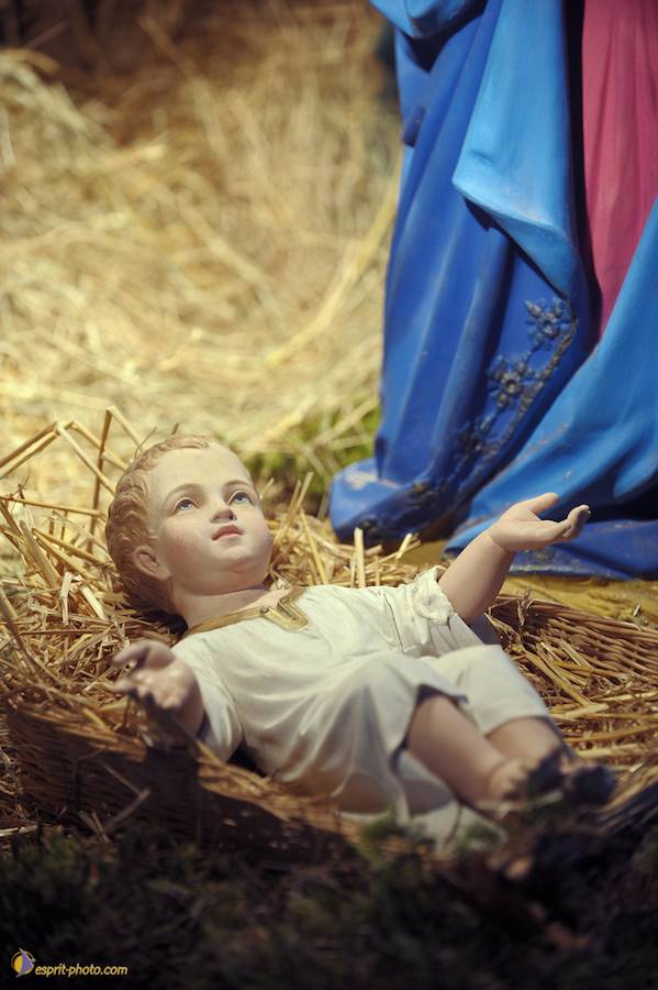 Nom de l'image : D30043127_1_(c)Norbert-JUNG — Description :